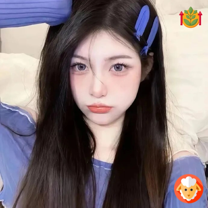 北城旧梦